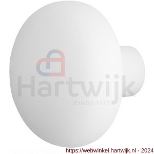 GPF Bouwbeslag ZwartWit 8957.62 S1 paddenstoel knop 65 mm draaibaar met krukstift wit - H21011068 - afbeelding 1
