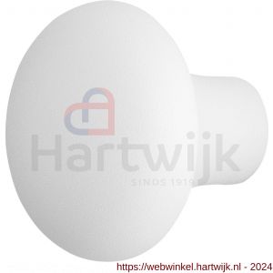 GPF Bouwbeslag ZwartWit 8959.62 S1 paddenstoel knop 52 mm draaibaar met krukstift wit - H21011069 - afbeelding 1