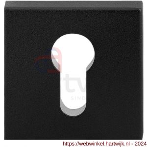 GPF Bouwbeslag ZwartWit 9386.61 Outside veiligheids buitenrozet vierkant 54 mm SKG*** zwart - H21012900 - afbeelding 1