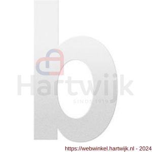 GPF Bouwbeslag ZwartWit 9800.62.0156-b letter b 156 mm wit - H21010825 - afbeelding 1