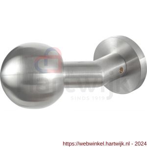 GPF Bouwbeslag RVS 9953.09-00 S1 verkropte kogelknop S1 55 mm draaibaar met ronde rozet RVS mat geborsteld - H21014077 - afbeelding 1