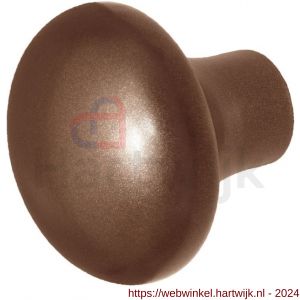 GPF Bouwbeslag Anastasius 9959.A2 S1 paddenstoel knop 52 mm draaibaar met krukstift Bronze blend - H21012425 - afbeelding 1