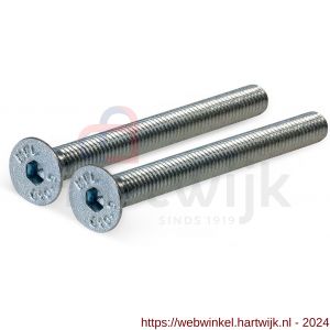 GPF Bouwbeslag AG0308 staal gegalvaniseerd DIN 7991 2x M5x100 mm voor veiligheids KT rozet tot deurdikte 94 mm gegalvaniseerd - H21010486 - afbeelding 1