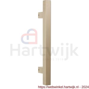 GPF Bouwbeslag Anastasius 9505.A4 deurgreep GPF10 22x300/200 mm Champagne blend met bevestiging - H21017249 - afbeelding 1