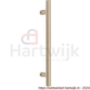 GPF Bouwbeslag Anastasius 9510.A4 deurgreep GPF16 20x450/350 mm Champagne blend met bevestiging - H21017326 - afbeelding 1