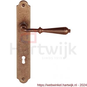 Utensil Legno FM310R M deurkruk gatdeel op schild 235x35 mm blind met veer rechtswijzend roest - H21007080 - afbeelding 1