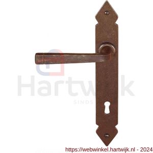 Utensil Legno FM378L/R BB56 deurkruk gatdeel op schild 245x35 mm BB56 links-rechtswijzend roest - H21007251 - afbeelding 1