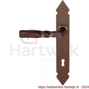 Utensil Legno FM379L/R deurkruk gatdeel op schild 245x35 mm blind links-rechtswijzend roest - H21007260 - afbeelding 1