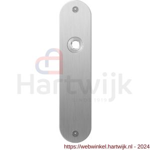GPF Bouwbeslag RVS 1100.12L/R blind deurkruk gatdeel links-rechtswijzend plaatschild afgerond zonder veer 181x41x2 mm blind RVS geborsteld - H21003977 - afbeelding 1