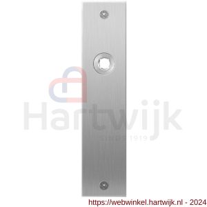 GPF Bouwbeslag RVS 1100.16L/R blind deurkruk gatdeel links-rechtswijzend plaatschild rechthoekig zonder veer 181x41x2 mm blind RVS geborsteld - H21003992 - afbeelding 1
