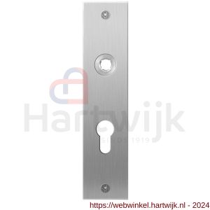 GPF Bouwbeslag RVS 1100.16L/R PC55 deurkruk gatdeel links-rechtswijzend plaatschild rechthoekig zonder veer 181x41x2 mm PC55 RVS geborsteld - H21003995 - afbeelding 1