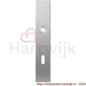 GPF Bouwbeslag RVS 1100.25R BB72 deurkruk gatdeel rechtswijzend langschild rechthoekig 218x40x8,5 mm BB72 RVS geborsteld - H21004191 - afbeelding 1