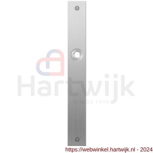 GPF Bouwbeslag RVS 1100.28L/R blind deurkruk gatdeel links-rechtswijzend plaatschild rechthoekig zonder veer 240x30x2 mm blind RVS geborsteld - H21004032 - afbeelding 1
