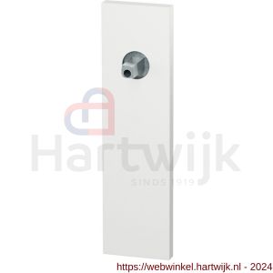 GPF Bouwbeslag ZwartWit 1115.62.400 blind kortschild rechthoekig 170x46x8 mm blind met vastgelaste knopvastzetter wit - H21016863 - afbeelding 1