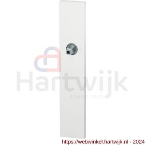 GPF Bouwbeslag ZwartWit 1125.62.400 blind langschild rechthoekig 220x40x8 mm blind met vastgelaste knopvastzetter wit - H21016923 - afbeelding 1