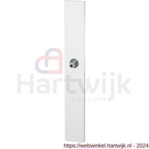 GPF Bouwbeslag ZwartWit 1175.62.400 XL blind langschild XL rechthoekig 282x40x8,5 mm blind met vastgelaste knopvastzetter wit - H21017013 - afbeelding 1