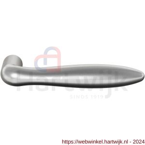 GPF Bouwbeslag RVS 1314.09 Rangi deurkruk RVS geborsteld RVS geborsteld - H21017048 - afbeelding 1