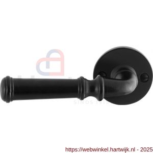 GPF Bouwbeslag Smeedijzer GPF6220.60-00L/R Meri deurkruk gatdeel op rond rozet 53x5 mm links-rechtswijzend smeedijzer zwart - H21009590 - afbeelding 1