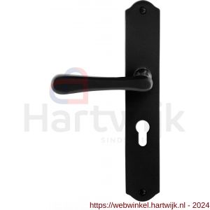 GPF Bouwbeslag Smeedijzer 6240.60L/R PC55 Paju deurkruk gatdeel op schild 238x41x4 mm PC55 links-rechtswijzend smeedijzer zwart - H21010422 - afbeelding 1