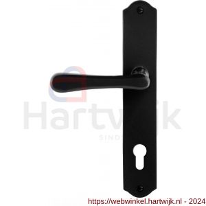 GPF Bouwbeslag Smeedijzer 6240.60L/R PC85 Paju deurkruk gatdeel op schild 238x41x4 mm PC85 links-rechtswijzend smeedijzer zwart - H21010424 - afbeelding 1