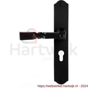 GPF Bouwbeslag Smeedijzer 6245.60L/R PC55 Nokka deurkruk gatdeel op schild 238x41x4 mm links-rechtswijzend smeedijzer zwart - H21010430 - afbeelding 1
