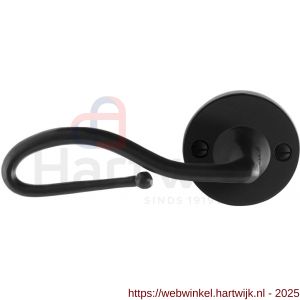 GPF Bouwbeslag Smeedijzer GPF6260.60-00L Lumi deurkruk gatdeel op rond rozet 53x5 mm linkswijzend smeedijzer zwart - H21009598 - afbeelding 1