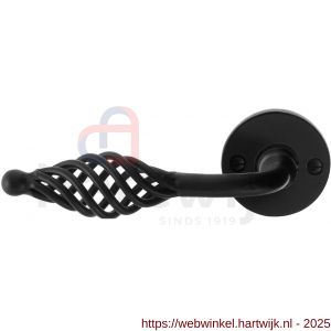 GPF Bouwbeslag Smeedijzer GPF6265.60-00L/R Tane deurkruk gatdeel op rond rozet 53x5 mm links-rechtswijzend smeedijzer zwart - H21009600 - afbeelding 1
