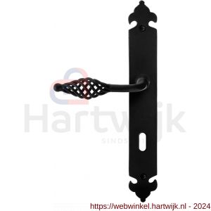 GPF Bouwbeslag Smeedijzer 6255.60L/R PC55 Tane deurkruk gatdeel op langschild 291x41x4 mm PC55 links-rechtswijzend smeedijzer zwart - H21010433 - afbeelding 1