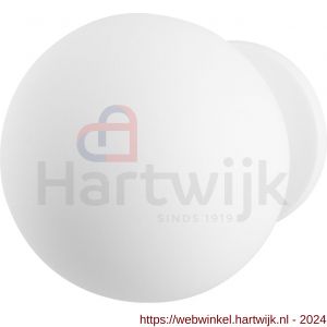 GPF Bouwbeslag ZwartWit 8824.62 kogel voordeurknop 100 mm op rozet 70 mm wit - H21007737 - afbeelding 1
