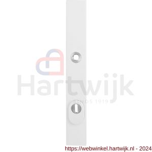 GPF Bouwbeslag ZwartWit 8846.62/92 veiligheids buitenschild SKG*** 257x35x11 mm rechthoekig smal met kerntrekbeveiliging PC92 massief wit - H21008597 - afbeelding 1
