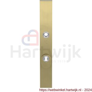 GPF Bouwbeslag PVD 9038.72P4 veiligheids buitenschild smal SKG*** 257x35x11 mm rechthoekig met kerntrekbeveiliging PC72 massief PVD mat messing - H21017157 - afbeelding 1