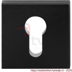 GPF Bouwbeslag ZwartWit GPF9386.61 Outside veiligheidsbuitenrozet vierkant 54 mm SKG*** zwart - H21012900 - afbeelding 1