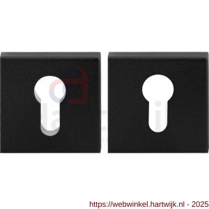 GPF Bouwbeslag ZwartWit GPF9386.61 Set veiligheidsrozet vierkant 54 mm SKG*** zwart - H21012901 - afbeelding 1