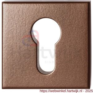 GPF Bouwbeslag Anastasius GPF9386.A2 Outside veiligheidsbuitenrozet vierkant 54x54x12,5 mm SKG*** Bronze blend - H21012925 - afbeelding 1