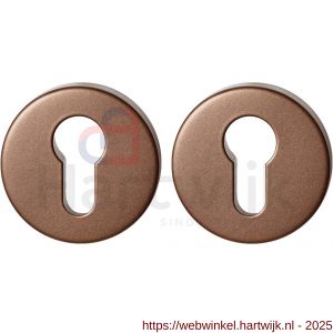 GPF Bouwbeslag Anastasius GPF9391.A2 Set veiligheidsrozet rond 54x12,5 mm SKG*** Bronze blend - H21012975 - afbeelding 1