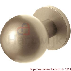 GPF Bouwbeslag Anastasius 9822.A4 kogel voordeurknop 63 mm op rozet 63 mm Champagne blend - H21012176 - afbeelding 1