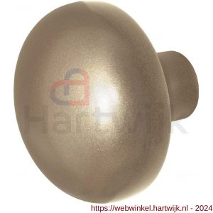 GPF Bouwbeslag Anastasius 9857.A4 S5 Paddenstoel knop 65 mm voor veiligheids schilden vast met wisselstift Champagne blend - H21012203 - afbeelding 1