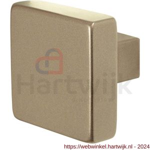 GPF Bouwbeslag Anastasius 9858.A4 S5 vierkante knop 60x60x16 mm voor veiligheids schilden vast met wisselstift Champagne blend - H21012199 - afbeelding 1