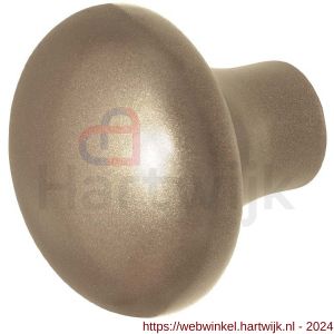 GPF Bouwbeslag Anastasius 9859.A4 S5 Paddenstoel knop 52 mm voor veiligheids schilden vast met wisselstift Champagne blend - H21012207 - afbeelding 1