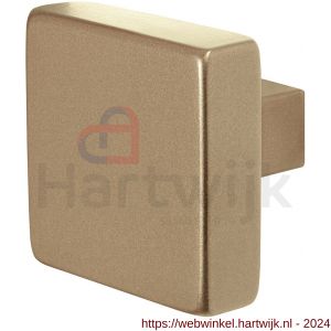 GPF Bouwbeslag Anastasius 9950.A4 S1 vierkante knop 60x60x16 mm draaibaar met krukstift Champagne blend - H21013370 - afbeelding 1