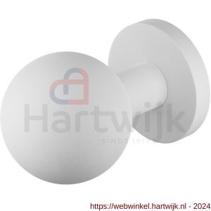 GPF Bouwbeslag ZwartWit 9954.62-00 S1 GPF9954.62-00 kogelknop S1 50 mm draaibaar met ronde rozet wit - H21016631 - afbeelding 1