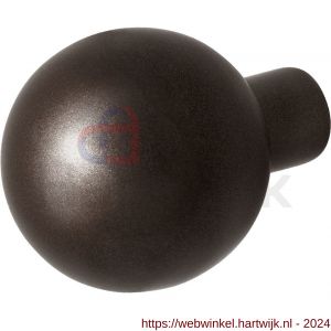 GPF Bouwbeslag Anastasius 9954.A1 S2 kogelknop 50 mm vast met knopvastzetter Dark blend - H21012216 - afbeelding 1
