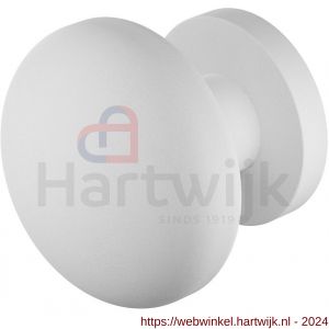 GPF Bouwbeslag ZwartWit 9957.62-00 S1 GPF9957.62-00 Paddenstoel knop S1 65 mm draaibaar met rond rozet wit - H21016649 - afbeelding 1