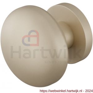 GPF Bouwbeslag Anastasius 9957.A4-00 S2 GPF9957.A4-00 Paddenstoel knop S2 65 mm met knopvastzetter met rond rozet Champagne blend - H21016530 - afbeelding 1