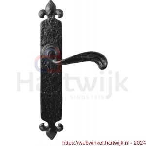 Kirkpatrick KP2462 deurkruk op schild 288x45 mm blind smeedijzer zwart - H21002895 - afbeelding 1
