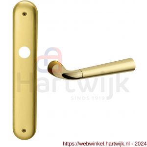 Mandelli1953 S90R Special deurkruk gatdeel rechtswijzend op langschild 238x40 mm blind messing gepolijst-mat messing - H21012099 - afbeelding 1