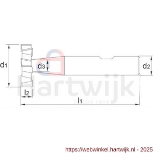 Phantom 36.510 HSS-E schijfspiefrees (Woodruff-frees) DIN 850-D kruisvertand 10‚5x2 mm - H40518166 - afbeelding 2