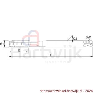 Phantom 22.705 HSS machinetap ISO 529 metrisch aluminium voor doorlopende gaten M20 - H40513771 - afbeelding 2