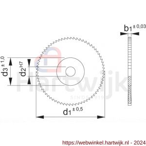 Phantom 63.250 HSS metaalcirkelzaag DIN 1838-B grof 100x1‚2x22 mm T64 - H40522263 - afbeelding 2