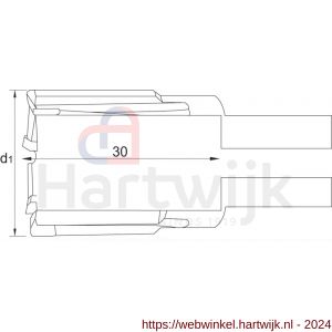 Phantom 62.210 HM-tip kernboor rail snijdiepte 30 mm 22 mm - H40504168 - afbeelding 2